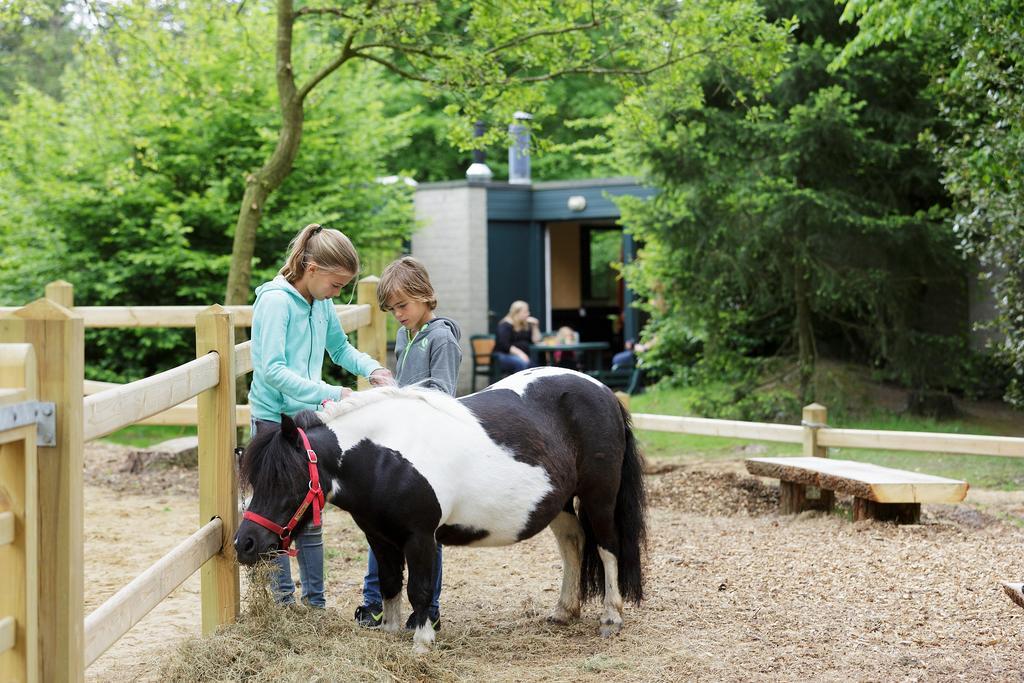 Center Parcs Les Bois Francs 호텔 베르뇔 다브르 에 디통 외부 사진